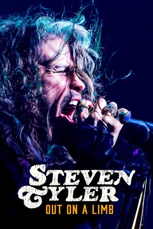 Key visual of Steven Tyler: Out on a Limb