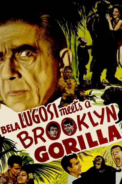 Key visual of Bela Lugosi Meets a Brooklyn Gorilla