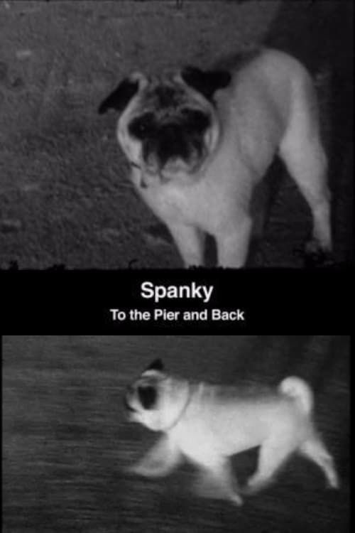 Key visual of Spanky: To the Pier and Back