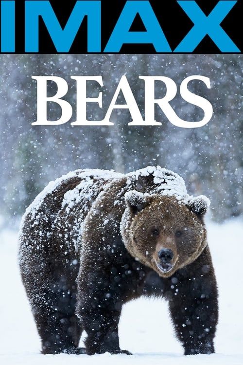 Key visual of Bears