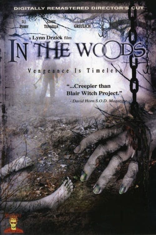 Key visual of In The Woods