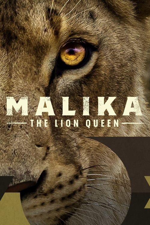 Key visual of Malika the Lion Queen
