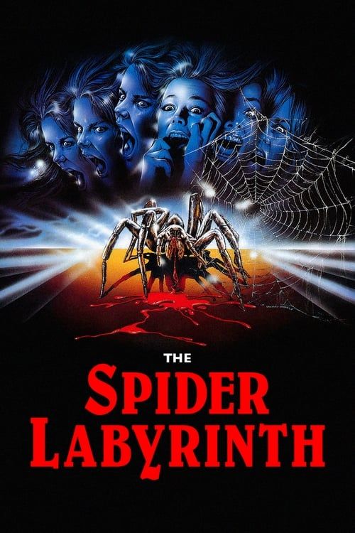 Key visual of The Spider Labyrinth