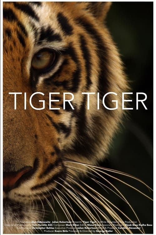 Key visual of Tiger Tiger