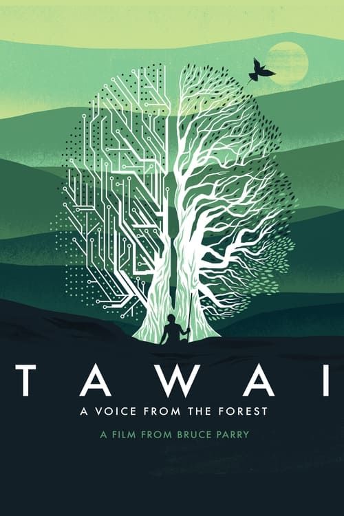 Key visual of Tawai: A Voice from the Forest