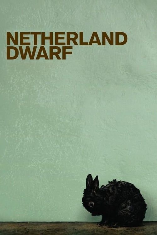 Key visual of Netherland Dwarf