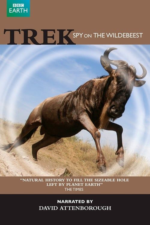 Key visual of Trek - Spy on the Wildebeest