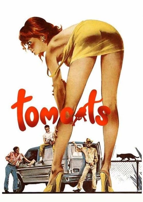 Key visual of Tomcats