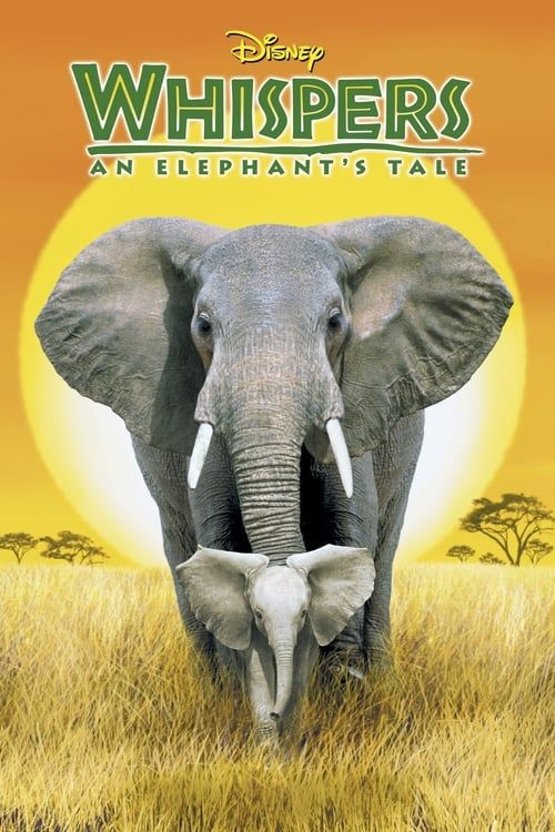 Key visual of Whispers: An Elephant's Tale