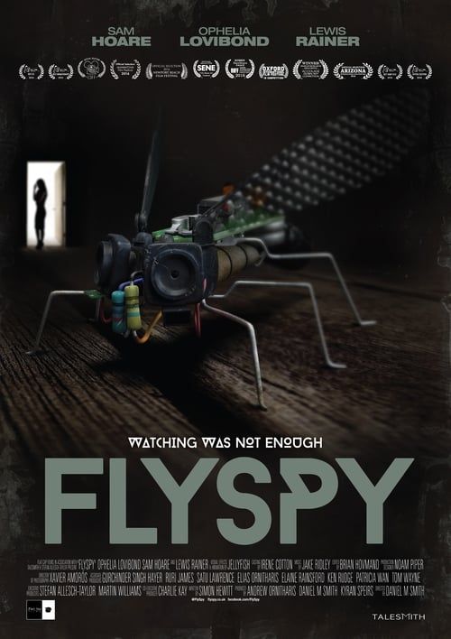 Key visual of Flyspy