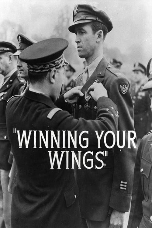 Key visual of Winning Your Wings