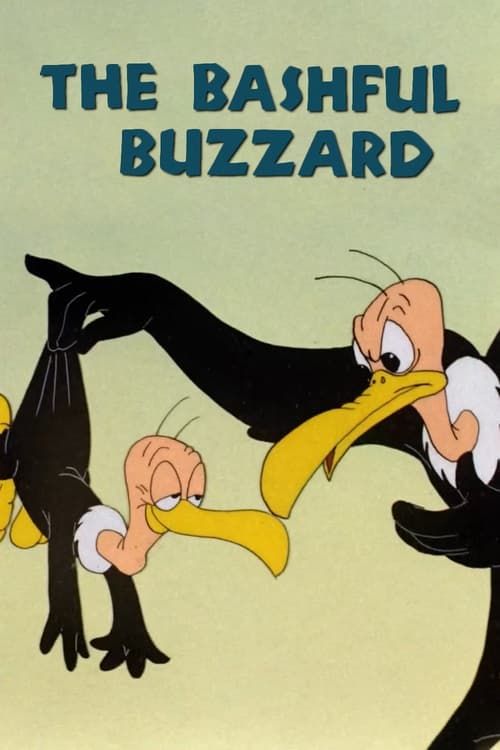 Key visual of The Bashful Buzzard