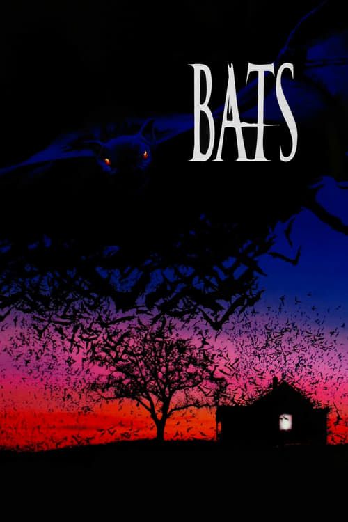Key visual of Bats