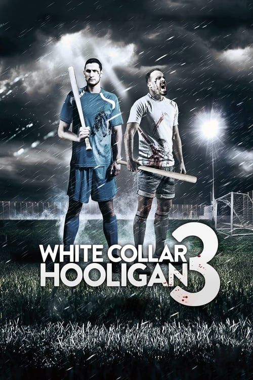 Key visual of White Collar Hooligan 3