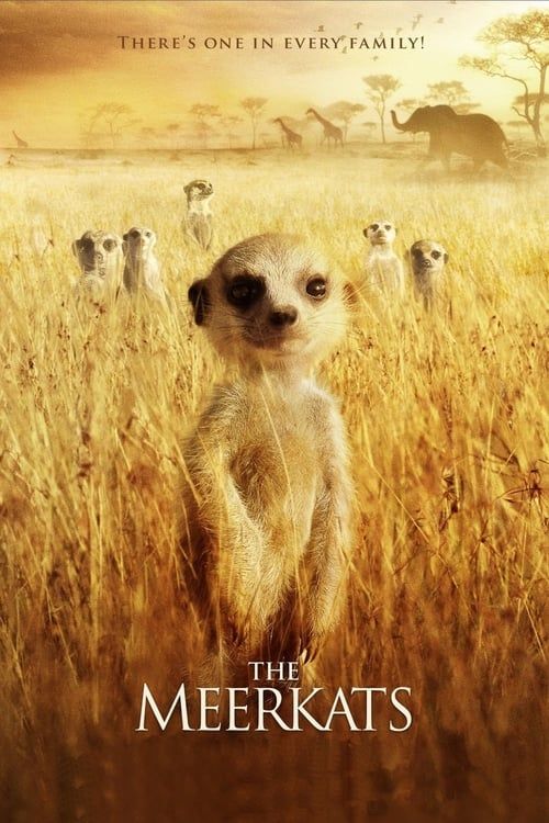 Key visual of The Meerkats