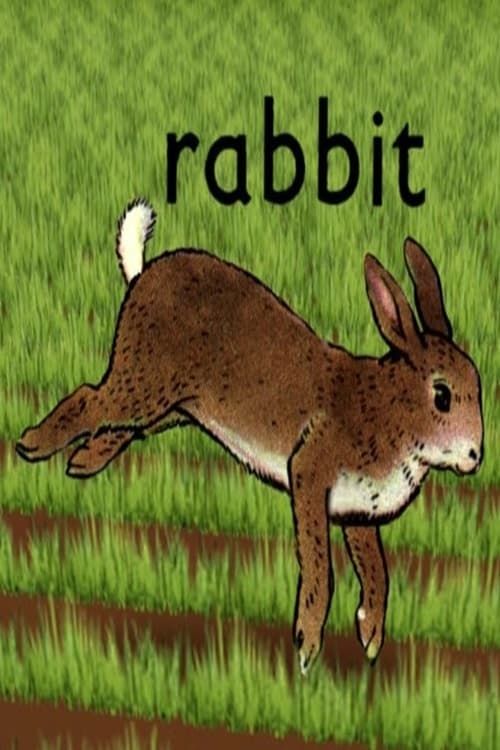 Key visual of Rabbit