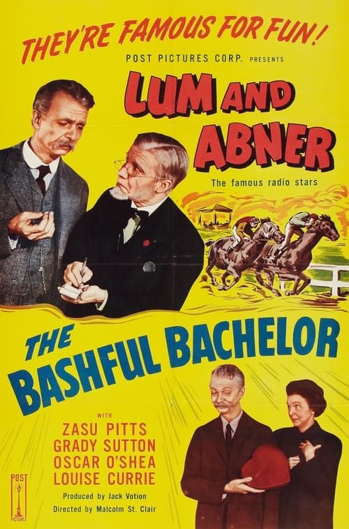 Key visual of The Bashful Bachelor