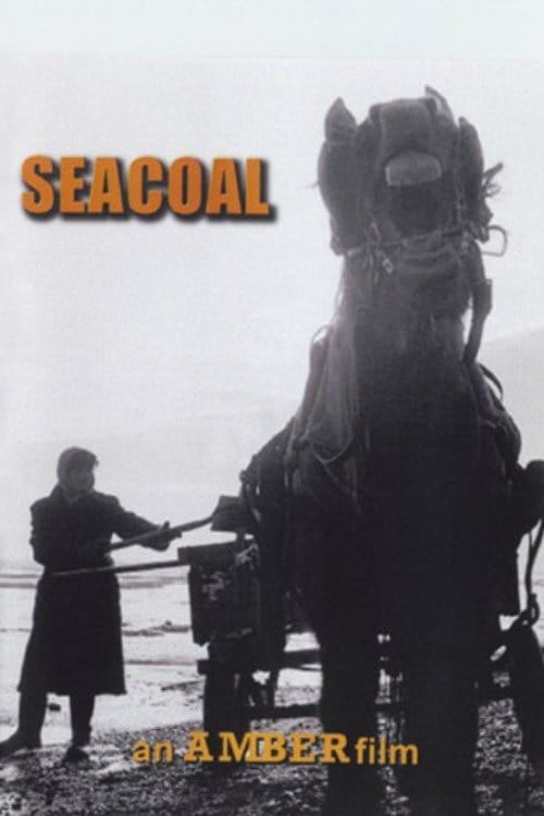 Key visual of Seacoal