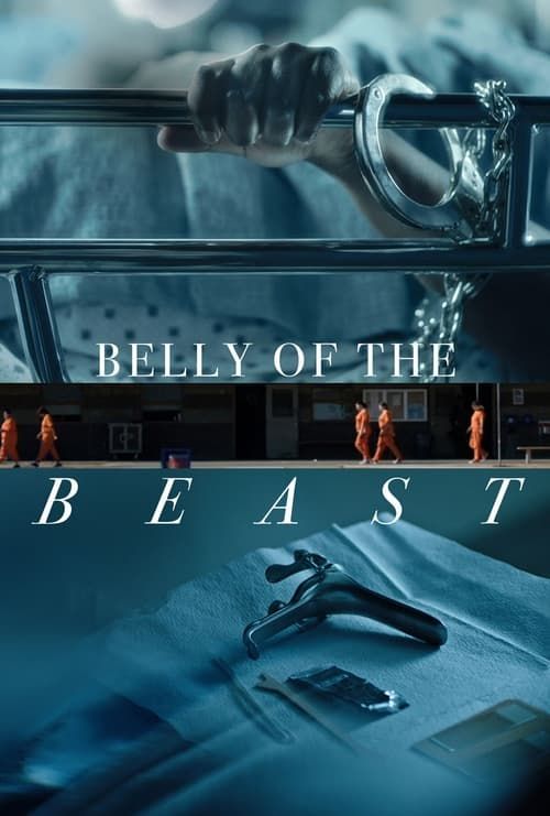 Key visual of Belly of the Beast