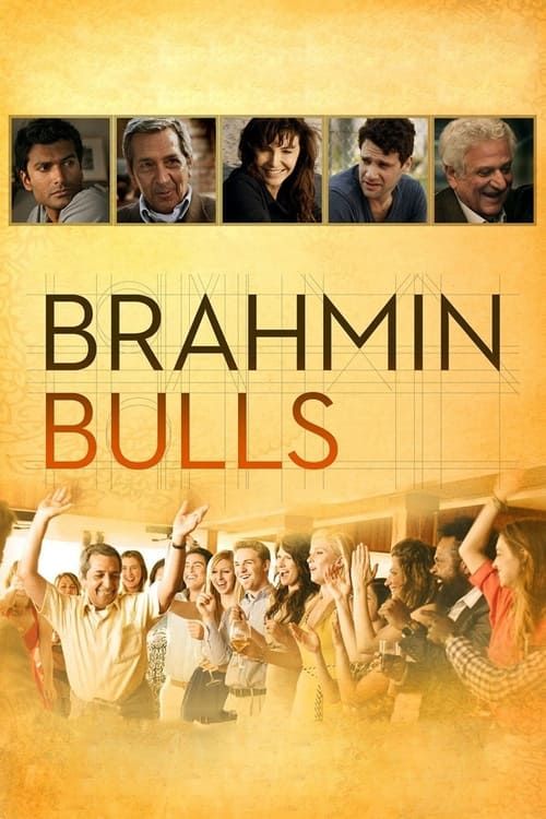 Key visual of Brahmin Bulls