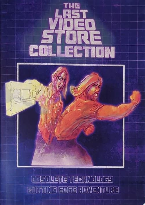 Key visual of The Last Video Store