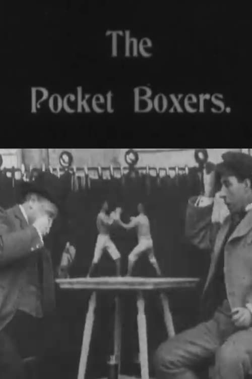 Key visual of Pocket Boxers