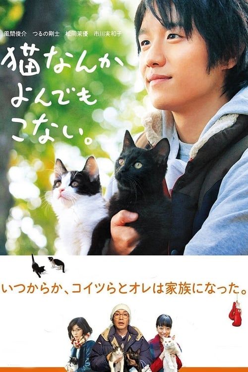 Key visual of Cats Don't Come When You Call