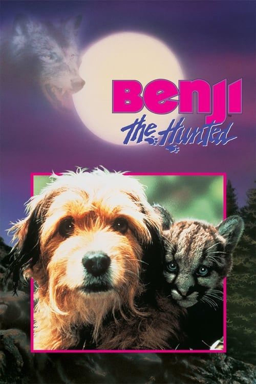 Key visual of Benji the Hunted
