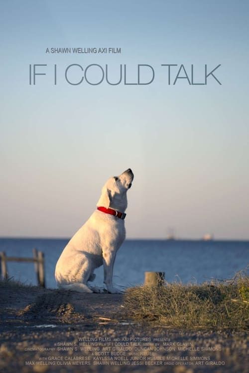 Key visual of If I Could Talk