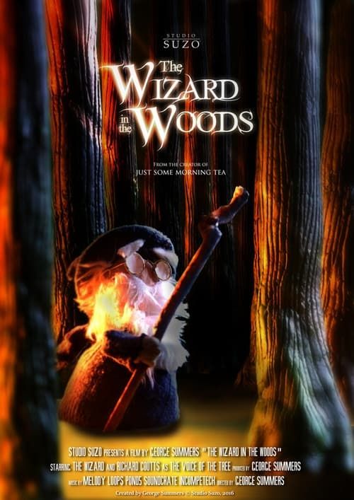 Key visual of The Wizard in the Woods