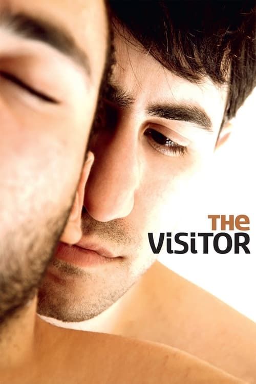 Key visual of The Visitor