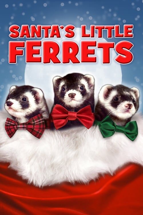 Key visual of Santa's Little Ferrets