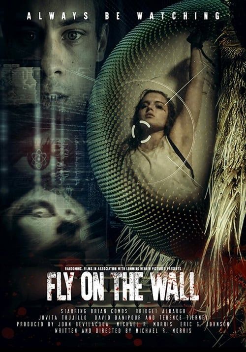 Key visual of Fly on the Wall