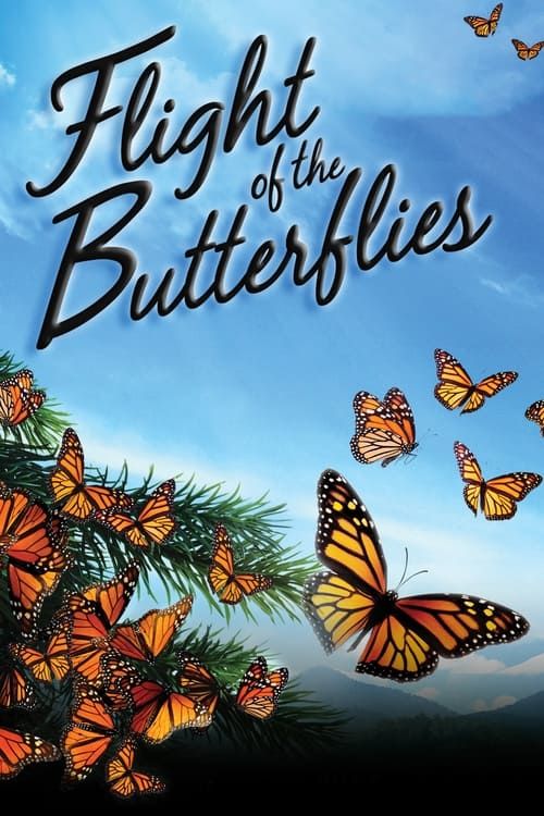 Key visual of Flight of the Butterflies