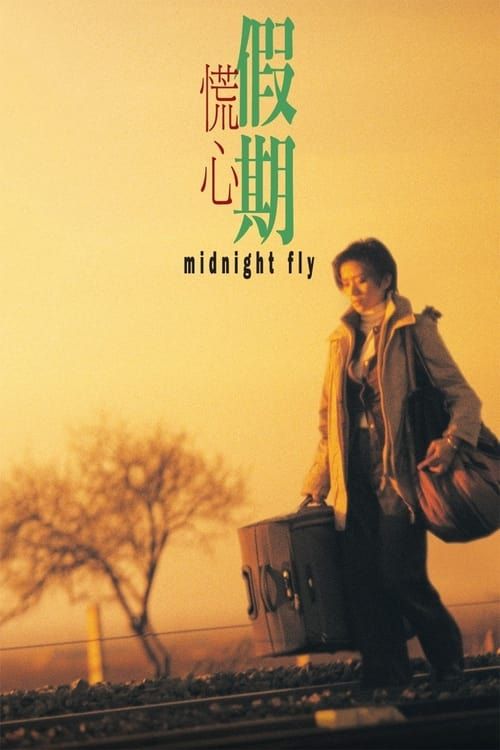 Key visual of Midnight Fly