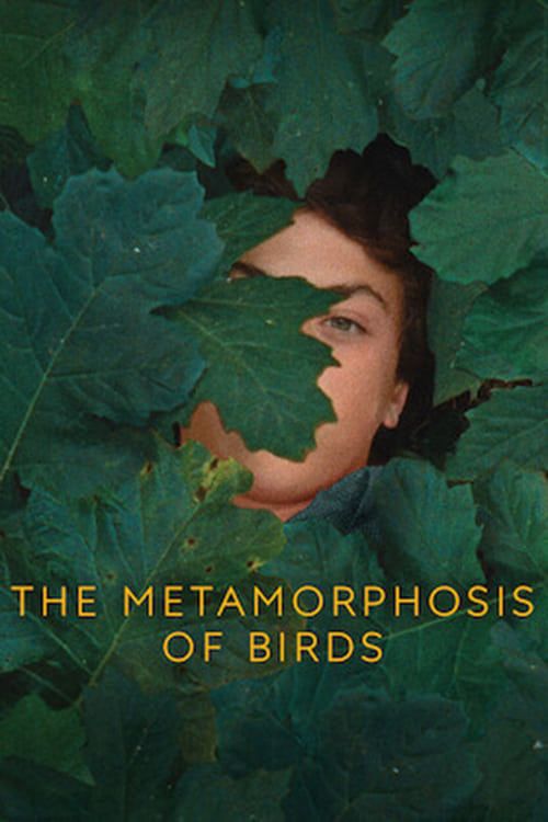 Key visual of The Metamorphosis of Birds