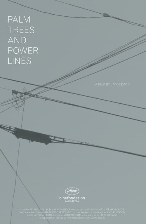 Key visual of Palm Trees and Power Lines