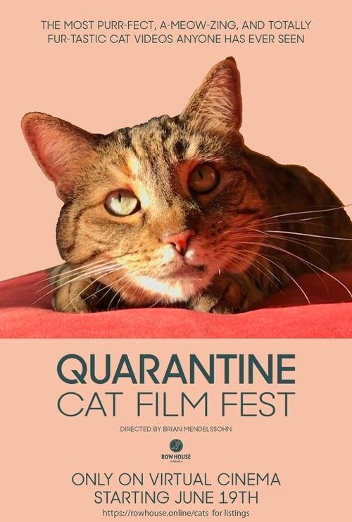 Key visual of Quarantine Cat Film Festival