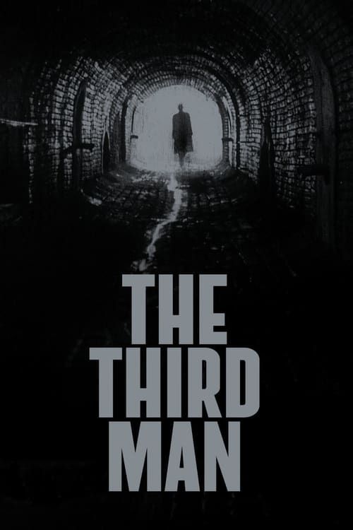 Key visual of The Third Man