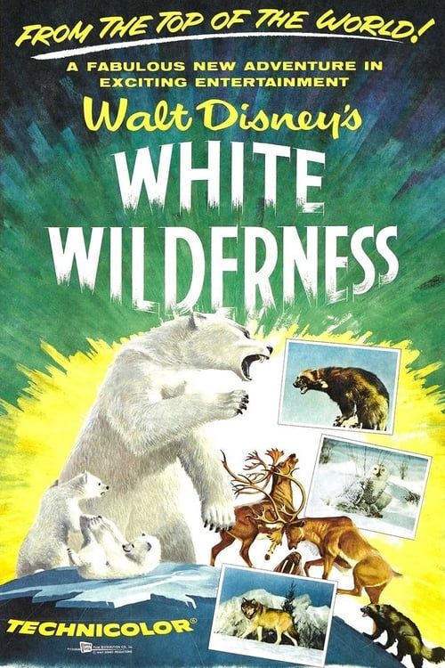 Key visual of White Wilderness