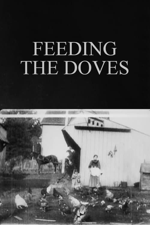 Key visual of Feeding the Doves