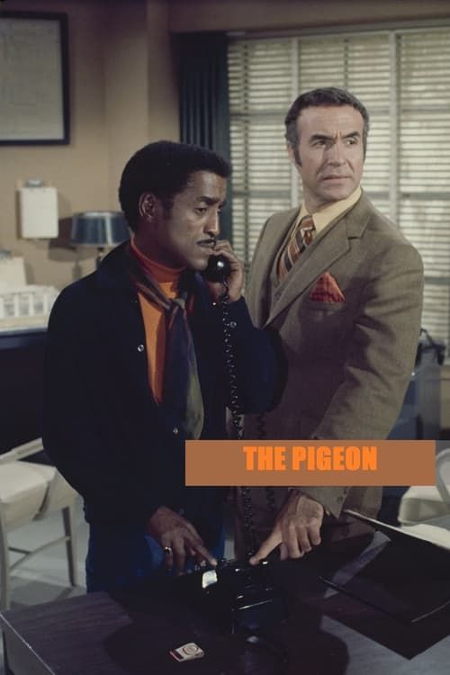 Key visual of The Pigeon