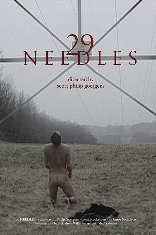 Key visual of 29 Needles