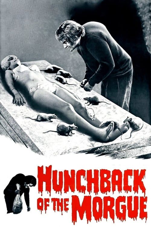 Key visual of Hunchback of the Morgue