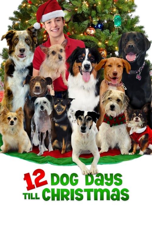 Key visual of 12 Dog Days Till Christmas