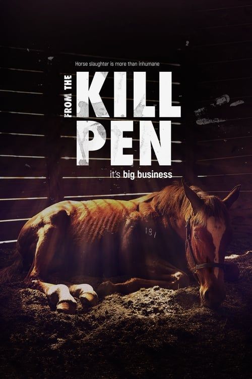 Key visual of From the Kill Pen