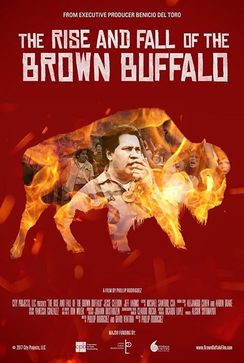 Key visual of The Rise and Fall of the Brown Buffalo
