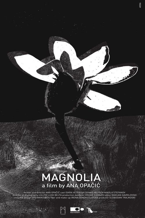 Key visual of Magnolia