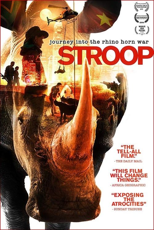 Key visual of Stroop: Journey into the Rhino Horn War