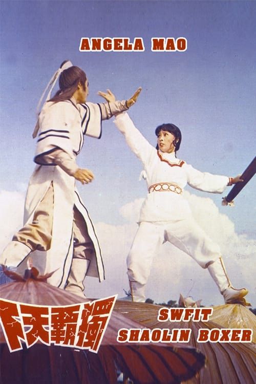 Key visual of Swift Shaolin Boxer